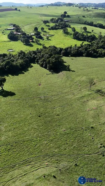 Foto 8 de Fazenda / Haras à venda, 34m2 em Anicuns - GO