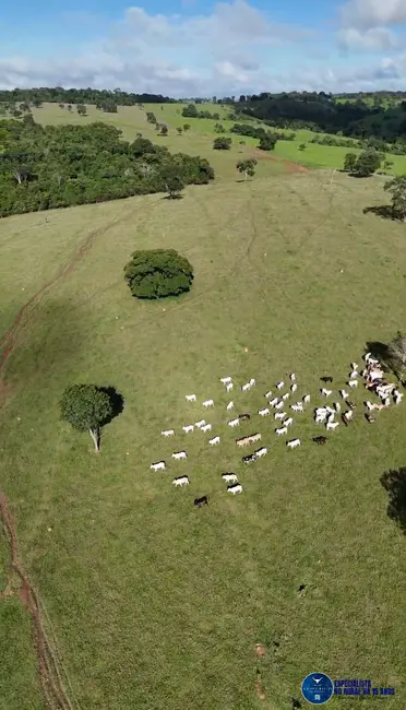 Foto 4 de Fazenda / Haras à venda, 34m2 em Anicuns - GO