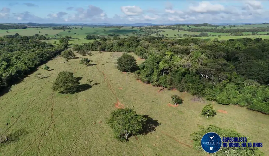 Foto 3 de Fazenda / Haras à venda, 34m2 em Anicuns - GO