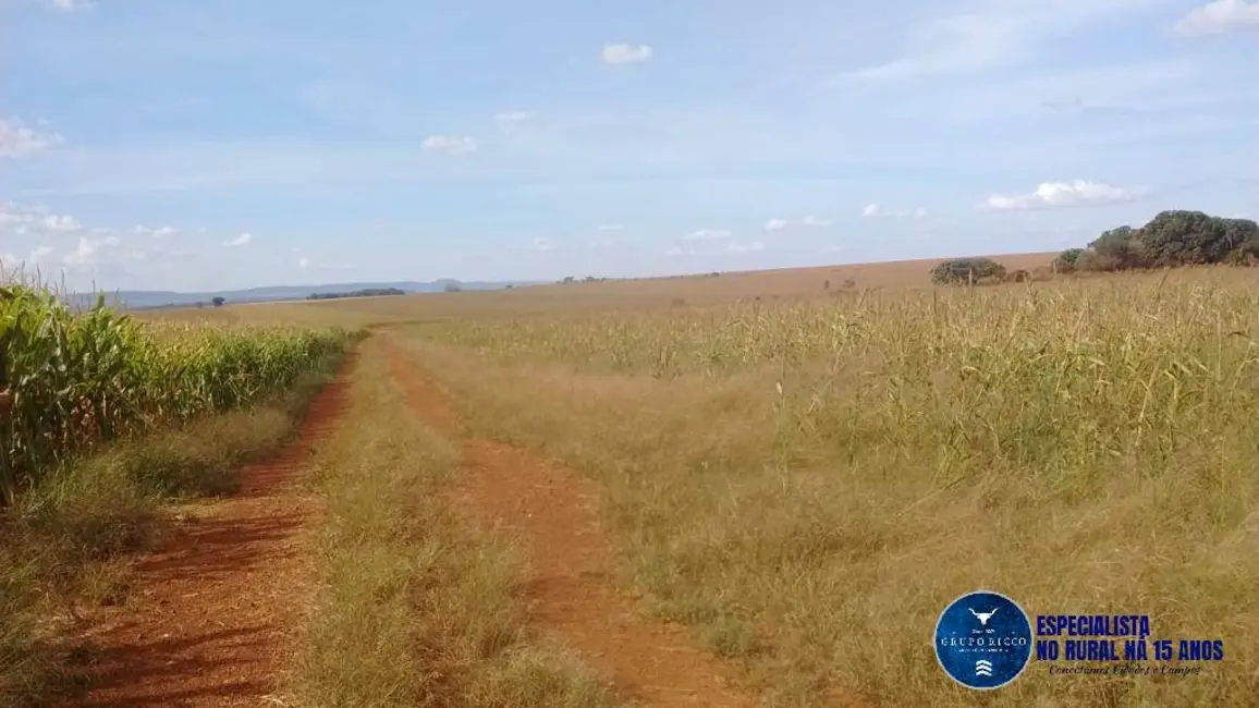 Foto 4 de Fazenda / Haras à venda, 433m2 em Doverlandia - GO