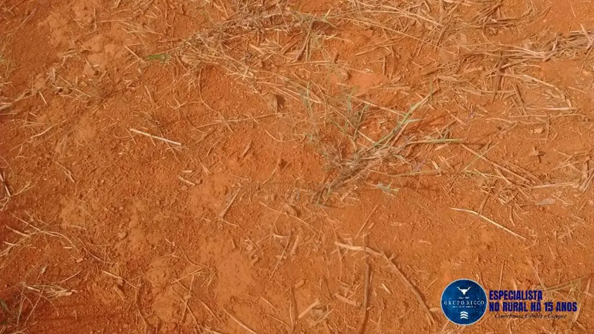 Foto 6 de Fazenda / Haras à venda, 433m2 em Doverlandia - GO