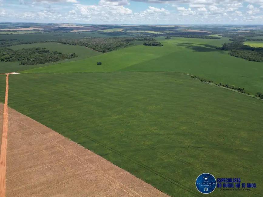 Fazenda / Haras à venda, 174m2 em Rio Verde - GO - imagem 5 Foto 5 de Fazenda / Haras à venda, 174m2 em Rio Verde - GO