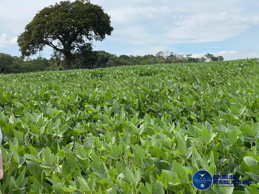Foto 1 de Sítio / Rancho à venda, 21m2 em Rio Verde - GO