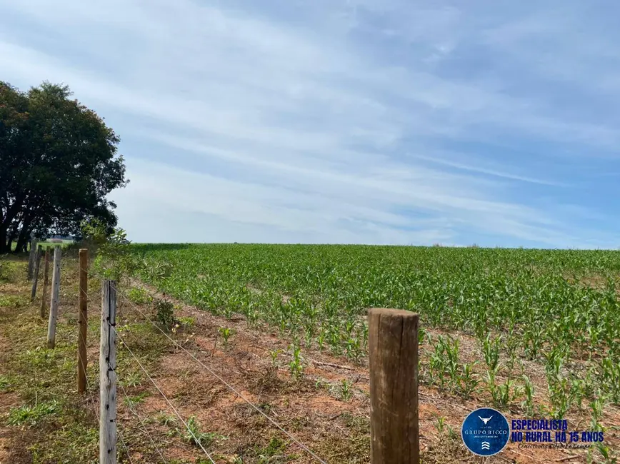 Sítio / Rancho à venda, 21m2 em Rio Verde - GO - imagem 8 Foto 8 de Sítio / Rancho à venda, 21m2 em Rio Verde - GO