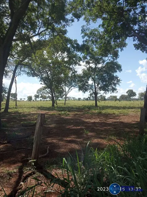 Foto 1 de Fazenda / Haras à venda, 195m2 em Ribeirao Cascalheira - MT