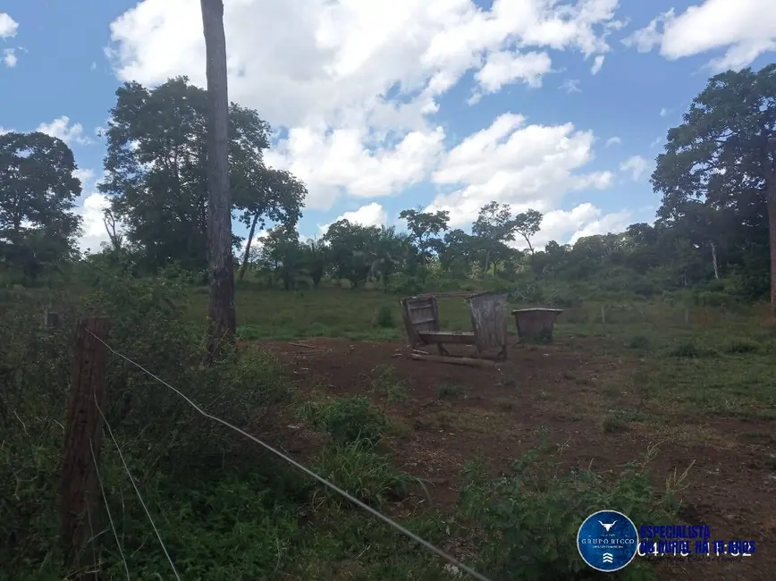 Foto 2 de Fazenda / Haras à venda, 195m2 em Ribeirao Cascalheira - MT