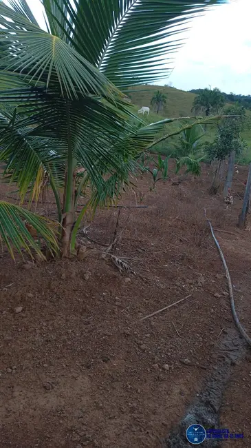 Foto 2 de Chácara à venda em Heitorai - GO