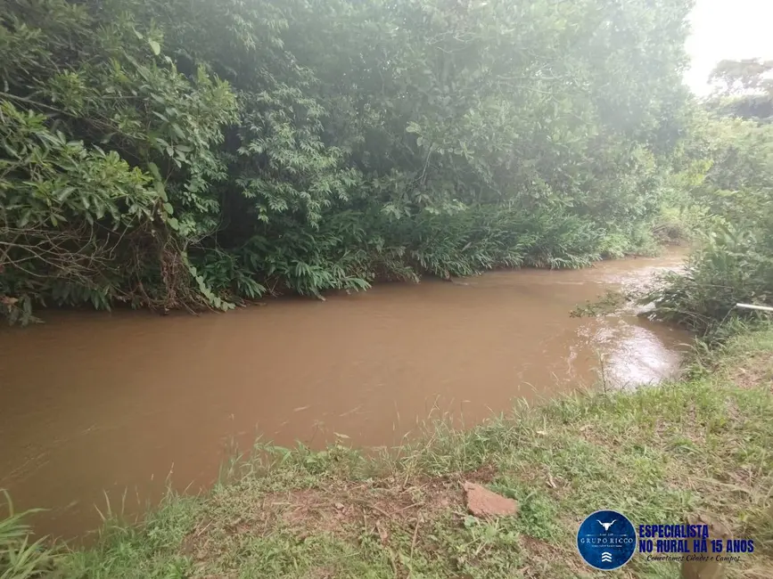 Foto 6 de Chácara com 2 quartos à venda, 2000m2 em Bonfinopolis - GO