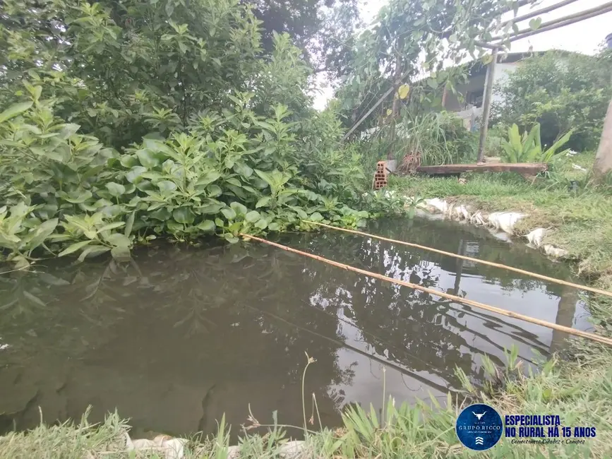 Foto 7 de Chácara com 2 quartos à venda, 2000m2 em Bonfinopolis - GO