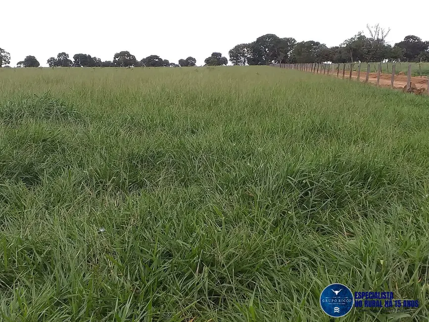 Foto 9 de Fazenda / Haras à venda, 46m2 em Matrincha - GO