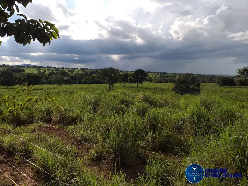 Foto 4 de Fazenda / Haras à venda, 46m2 em Matrincha - GO