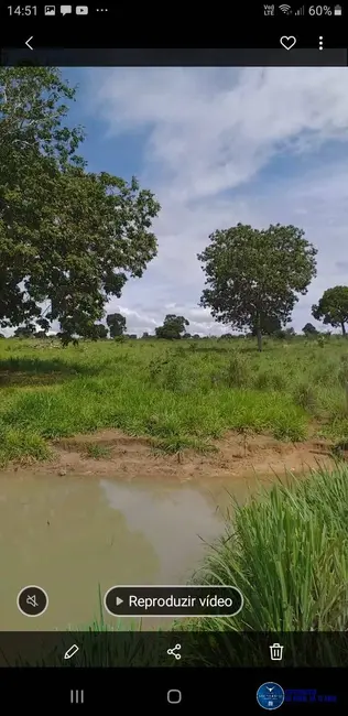 Foto 7 de Fazenda / Haras à venda, 46m2 em Matrincha - GO