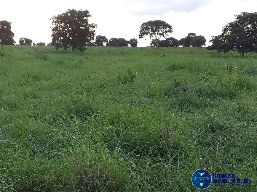 Foto 8 de Fazenda / Haras à venda, 46m2 em Matrincha - GO