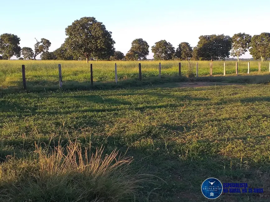 Foto 2 de Fazenda / Haras à venda, 46m2 em Matrincha - GO