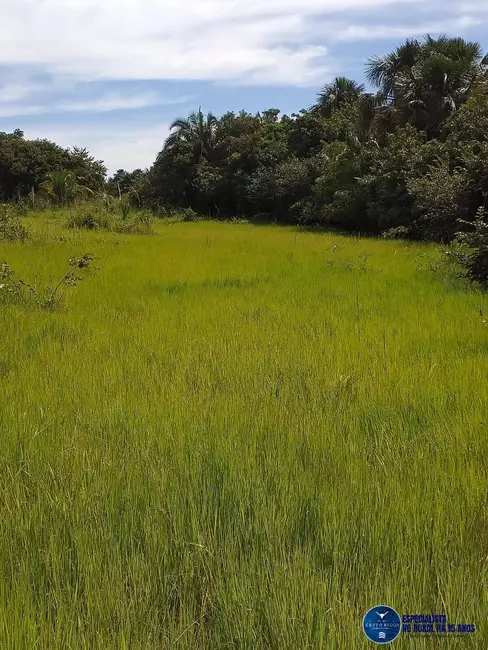 Foto 5 de Fazenda / Haras à venda, 46m2 em Matrincha - GO