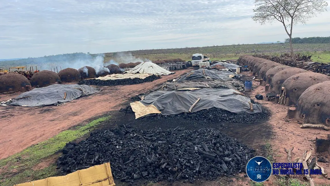 Fazenda / Haras à venda, 260m2 em Mineiros - GO - imagem 6 Foto 6 de Fazenda / Haras à venda, 260m2 em Mineiros - GO