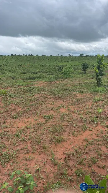 Fazenda / Haras à venda, 260m2 em Mineiros - GO - imagem 7 Foto 7 de Fazenda / Haras à venda, 260m2 em Mineiros - GO