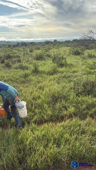 Fazenda / Haras à venda, 260m2 em Mineiros - GO - imagem 4 Foto 4 de Fazenda / Haras à venda, 260m2 em Mineiros - GO