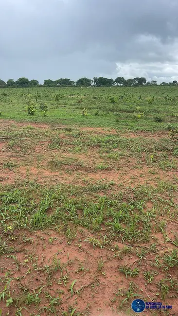 Fazenda / Haras à venda, 260m2 em Mineiros - GO - imagem 3 Foto 3 de Fazenda / Haras à venda, 260m2 em Mineiros - GO