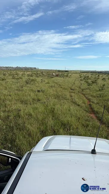 Foto 1 de Fazenda / Haras à venda, 260m2 em Mineiros - GO