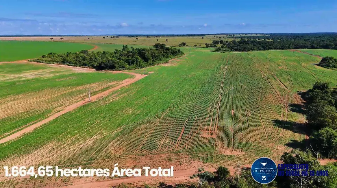 Foto 6 de Fazenda / Haras à venda, 344m2 em Montes Claros De Goias - GO