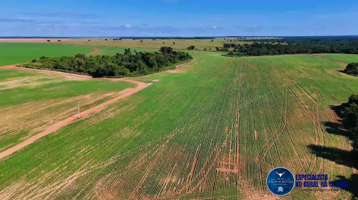 Foto 7 de Fazenda / Haras à venda, 344m2 em Montes Claros De Goias - GO