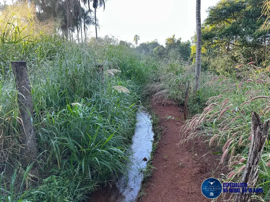 Foto 2 de Chácara à venda em Bela Vista De Goias - GO