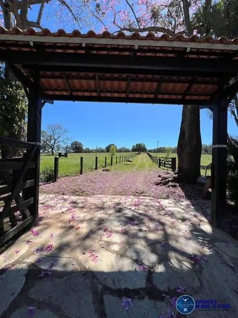 Foto 3 de Chácara com 3 quartos à venda, 9m2 em Petrolina De Goias - GO