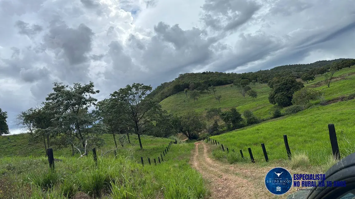 Foto 2 de Fazenda / Haras à venda, 375m2 em Estrela Do Norte - GO