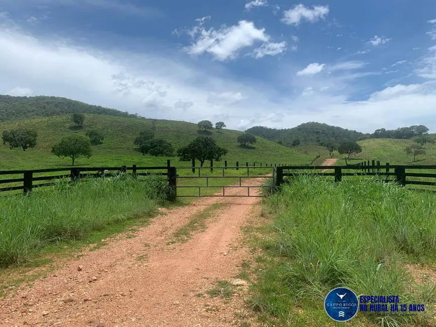 Foto 1 de Fazenda / Haras à venda, 375m2 em Estrela Do Norte - GO