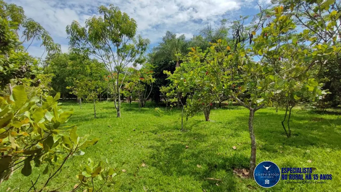 Foto 11 de Chácara à venda, 4484m2 em Hidrolandia - GO