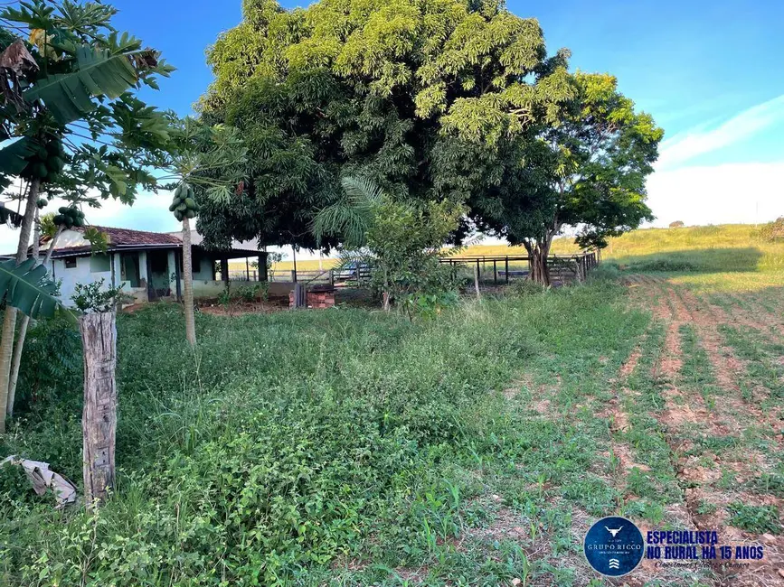 Chácara à venda, 10m2 em Goiás - GO - imagem 3 Foto 3 de Chácara à venda, 10m2 em Goiás - GO