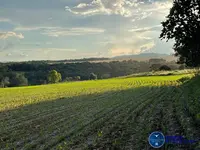 Imagem 5