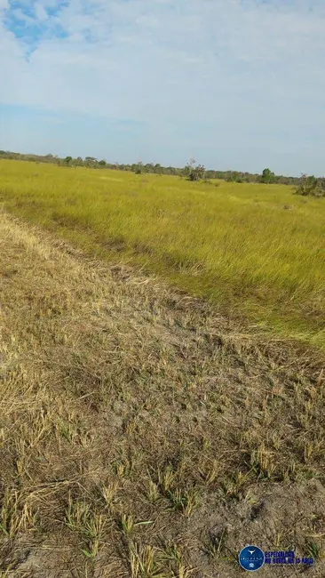 Foto 5 de Fazenda / Haras à venda, 1668m2 em Lagoa Da Confusao - TO