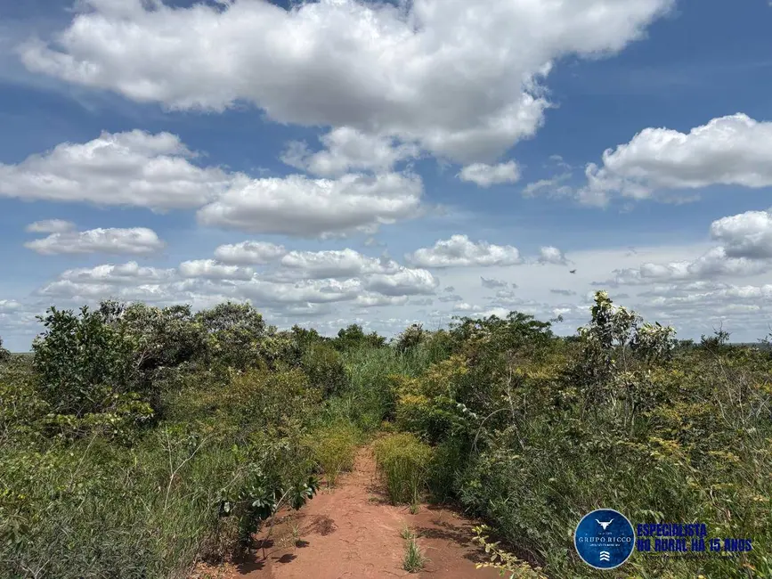 Foto 1 de Fazenda / Haras à venda, 103m2 em Alto Parnaiba - MA
