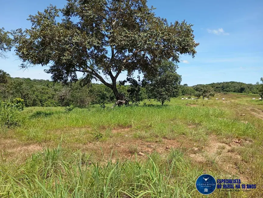 Foto 3 de Fazenda / Haras à venda, 60m2 em Jussara - GO