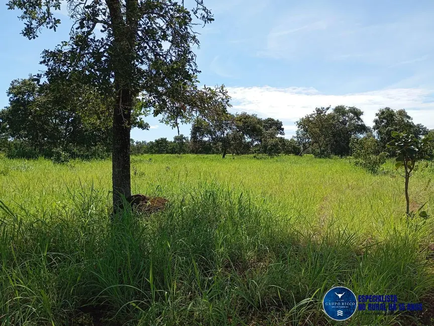 Foto 5 de Fazenda / Haras à venda, 60m2 em Jussara - GO