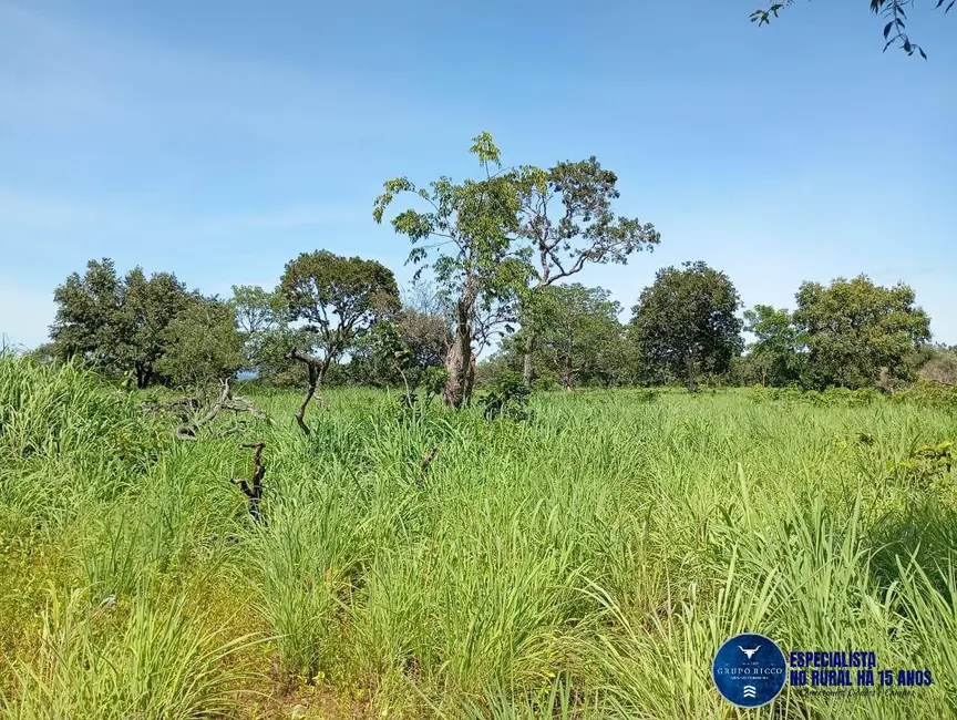 Foto 8 de Fazenda / Haras à venda, 60m2 em Jussara - GO