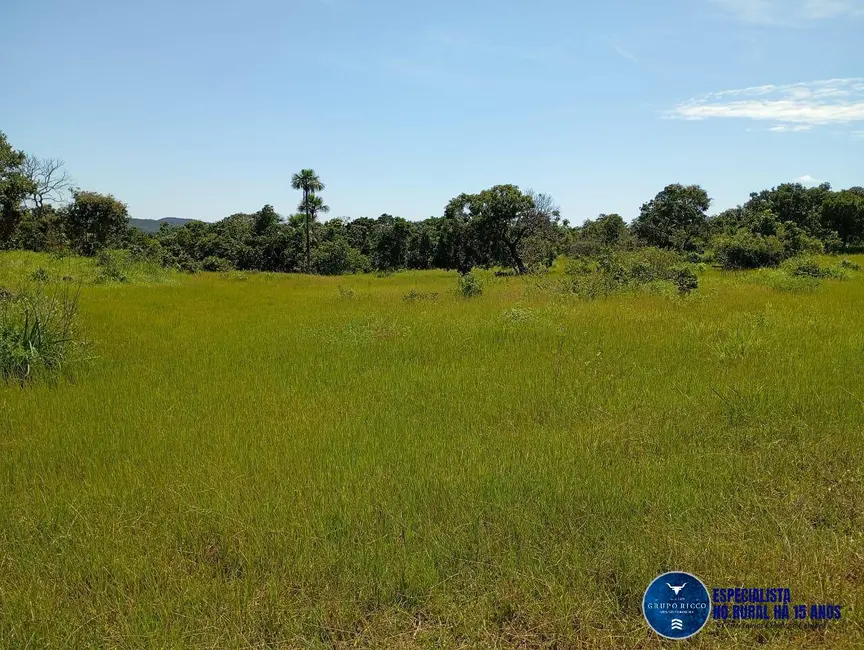 Foto 7 de Fazenda / Haras à venda, 60m2 em Jussara - GO