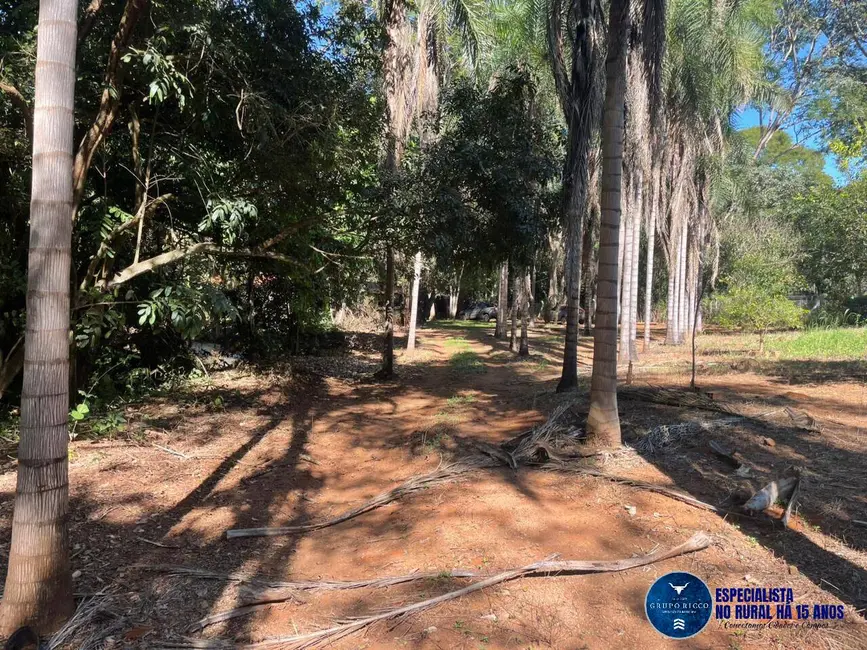 Foto 4 de Chácara com 4 quartos à venda, 6600m2 em Bonfinopolis - GO