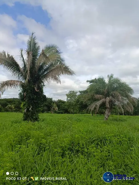 Foto 6 de Chácara com 3 quartos à venda, 15m2 em Matrincha - GO