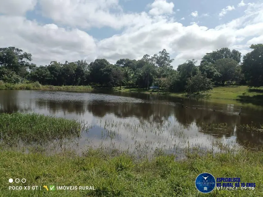 Foto 1 de Chácara à venda, 15m2 em Matrincha - GO