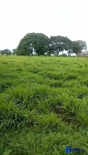 Foto 4 de Chácara com 3 quartos à venda, 15m2 em Matrincha - GO