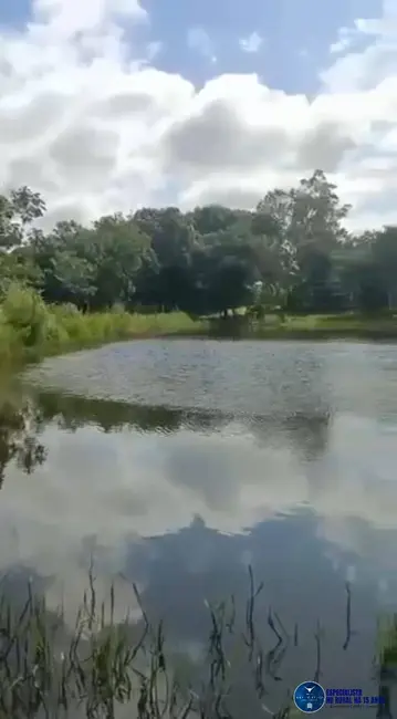 Foto 7 de Chácara com 3 quartos à venda, 15m2 em Matrincha - GO