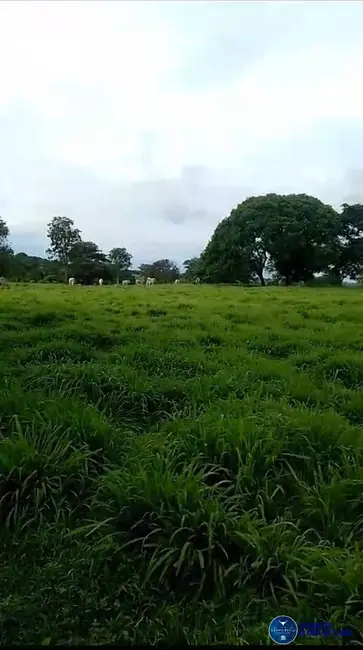 Foto 3 de Chácara com 3 quartos à venda, 15m2 em Matrincha - GO