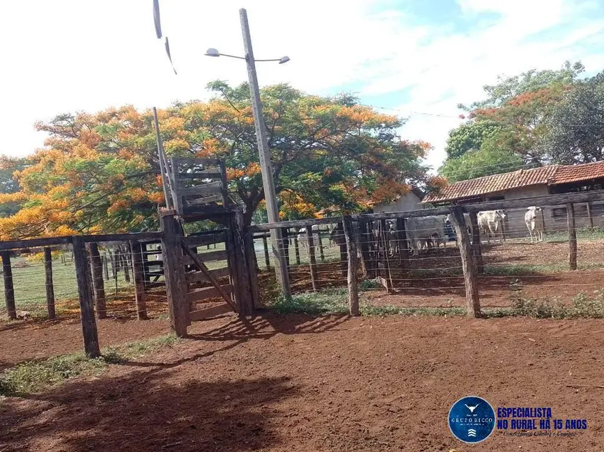 Foto 2 de Chácara à venda, 15m2 em Matrincha - GO