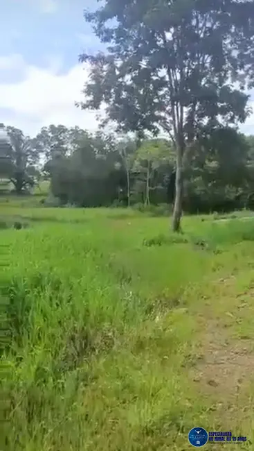 Foto 5 de Chácara com 3 quartos à venda, 15m2 em Matrincha - GO