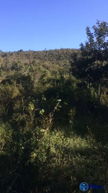 Foto 2 de Sítio / Rancho à venda, 24m2 em Jaragua - GO