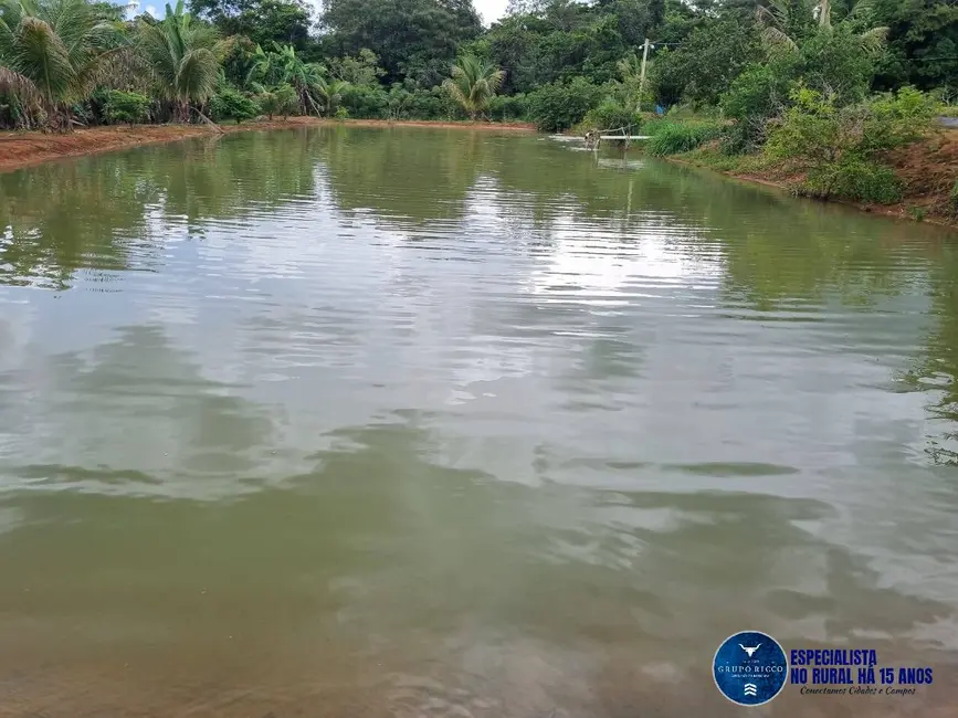 Foto 6 de Chácara à venda em Santa Cruz De Goias - GO
