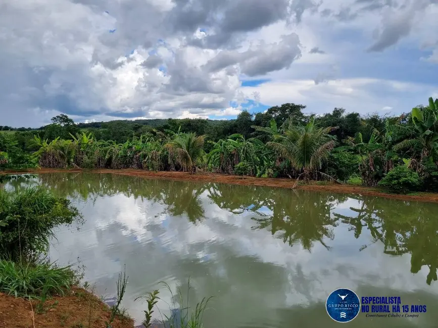Foto 7 de Chácara à venda em Santa Cruz De Goias - GO
